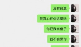 最新六哥聊天记录爆料,热点事件深度剖析与独家爆料