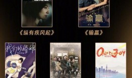 夜深人生爆料视频大全集,视频大全集深度解析